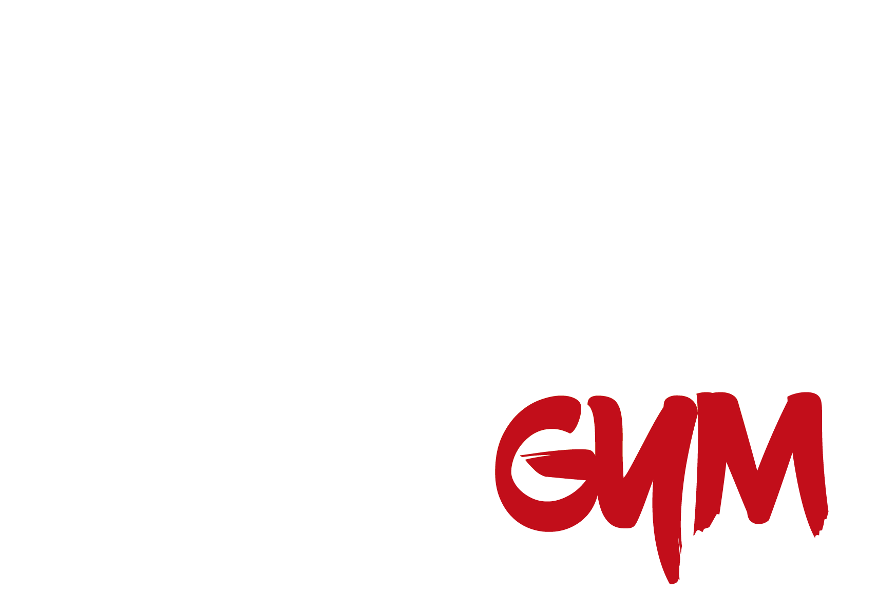 S13 Gym